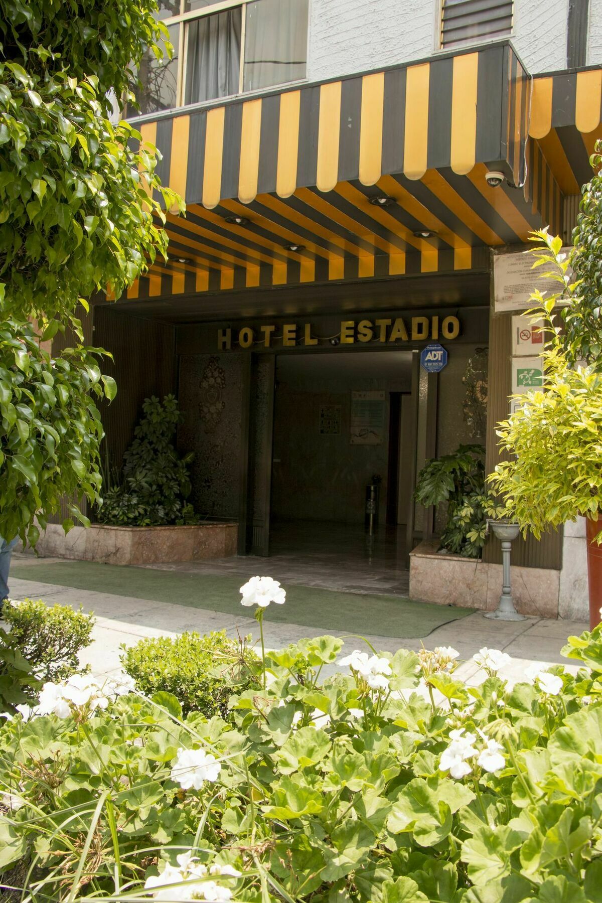 Hotel Estadio S.A Μεξικό Εξωτερικό φωτογραφία